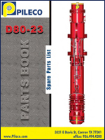 D80 Parts Manual